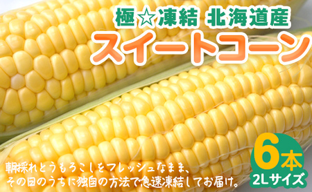 極☆凍結 北海道産スイートコーン 【 ふるさと納税 人気 おすすめ ランキング とうもろこし トウモロコシ とうきび トウキビ コーン スイートコーン 甘い 焼きトウモロコシ 焼き  北海道 北斗市 送料無料 】 HOKP001