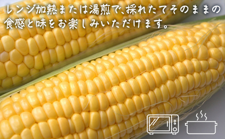 極☆凍結 北海道産スイートコーン 【 ふるさと納税 人気 おすすめ ランキング とうもろこし トウモロコシ とうきび トウキビ コーン スイートコーン 甘い 焼きトウモロコシ 焼き  北海道 北斗市 送料無料 】 HOKP001