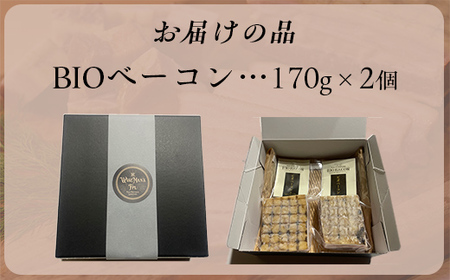 「お肉と塩だけ」無添加BIOベーコンセット　170ｇｘ2 【 ふるさと納税 人気 おすすめ ランキング ベーコン 豚肉 豚バラ 肉 にく 無添加 北海道 北斗市 送料無料 】 HOKAB001