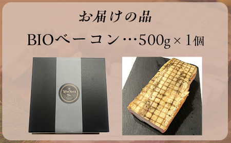 「お肉と塩だけ」無添加BIOベーコン特大サイズ 【 ふるさと納税 人気 おすすめ ランキング ベーコン 豚肉 豚バラ 肉 にく 無添加 北海道 北斗市 送料無料 】 HOKAB003