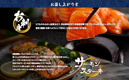 極☆凍結 北海道産 サーモン お刺身用ブロック 300g（90g～120ｇ×3P） HOKP006 | サーモン