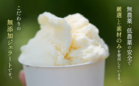 無添加 ジェラート・シャーベット詰合せ 100ml×12個 スイーツ アイスクリーム セット 