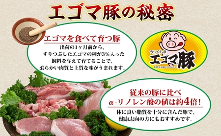 うつくしま エゴマ豚 約400g 2個 福島県産 化粧箱入り 豚肉 豚 お肉 ポーク 国産 えごま 上質 料理 惣菜 加工品 贅沢 お取り寄せ ギフト 贈答 鈴畜中央ミート 冷蔵 福島県 郡山市