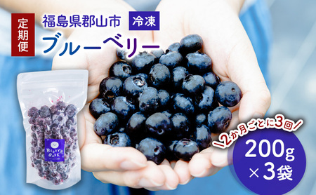 【定期便】冷凍ブルーベリー600gを2か月ごと3回 果物詰合せ フルーツ 