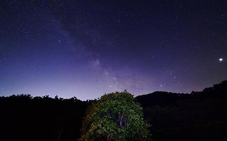 ハッシュ村 ゴージャス手ぶらキャンプ(4名様)