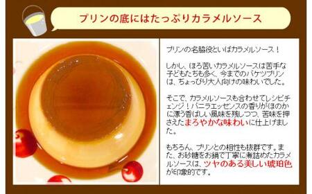 幸せアリスのバケツプリン【1リットル】