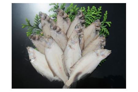 ヤナギガレイ一夜干し　12枚