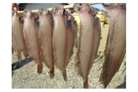 ヤナギガレイ一夜干し　12枚