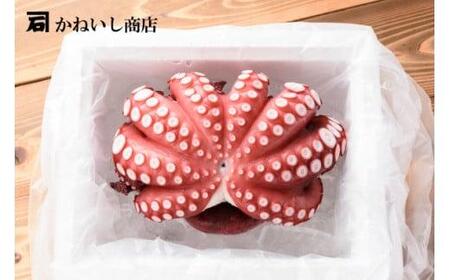 かねいしの蒸し蛸1尾【約1kg】