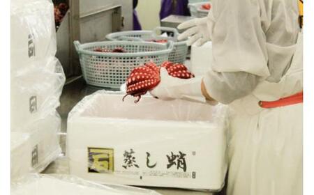 かねいしの蒸し蛸1尾【約1kg】