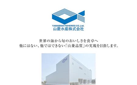 まぐろ尽くし刺身セットB