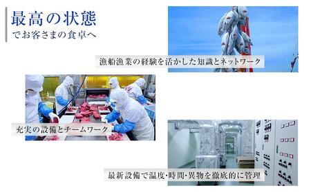 お刺身アイスバーグサーモン400g&天然本鮪赤身150g DK007