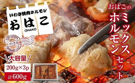 【新鮮ホルモン焼肉】焼肉専門店よりお届け　本格ホルモンをご自宅で！　ミックスホルモンセット600g！