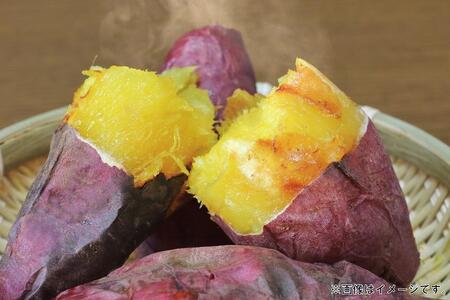 サツマイモ　紅はるか　5Kg　サイズおまかせセット