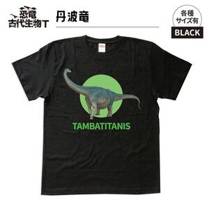 ふるさと納税 服 福島県 いわき市 恐竜・古代生物Tシャツ　丹波竜 050　サイズＸＸＬ（レギュラー） ブラック　サイズＸＸＬ 恐竜・古代生物Tシャツ 丹波竜 050 サイズXXL（レギュラー