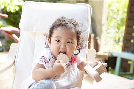 檜のおもちゃ IKONIH 乗り物シリーズ