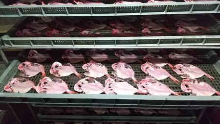 【ふるさと納税】まるふと厳選ひもの詰合せ(6種類)