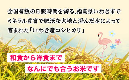 Iwaki Laiki いわき産コシヒカリ5kg(5kg*1袋)