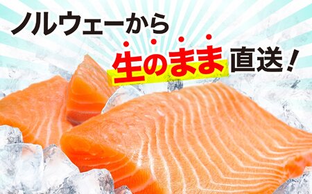 アイスバーグサーモン約200g×2 サーモン