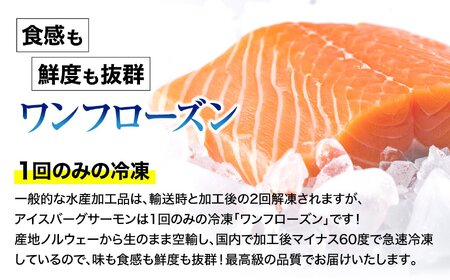 【サーモン】アイスバーグサーモン600g 