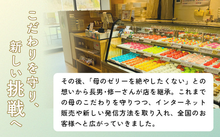 ゼリーのイエ ゼリー デコレーションモアリッチ 【ZR002】