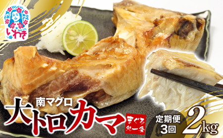 【定期便/計3回】南マグロ大トロカマ2kg（計6kg） まぐろ