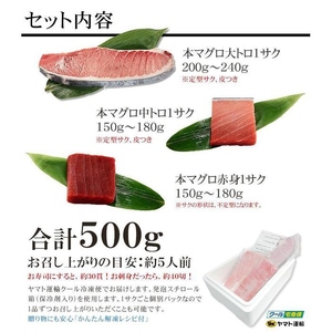 【定期便/隔月/計3回】本マグロ大トロ中トロ赤身セット500g まぐろ