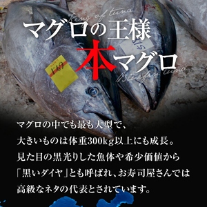 【定期便/隔月/計3回】本マグロ大トロ中トロ赤身セット500g まぐろ