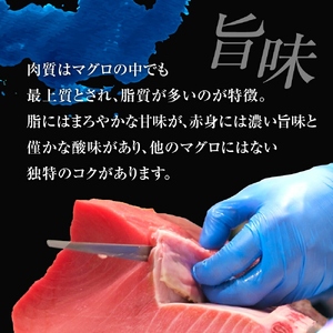 【定期便/計6回】本マグロ赤身300g(計1.8kg)【DG009-t6】