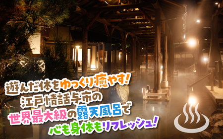 【年内発送12/24迄受付】【福島県いわき市】 スパリゾートハワイアンズ　施設利用券300,000円分（3,000円分×100枚）