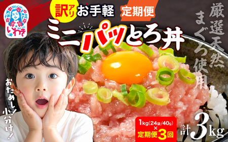 【定期便3回】ねぎとろ約1kg ネギトロ 