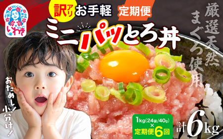 【定期便6回】ねぎとろ1kg（約40g×24パック） ネギトロ