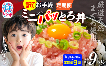 【定期便9回】ねぎとろ使い切りパック　約1kg（約40g×24パック）