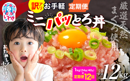 【定期便12回】 ねぎとろ使い切りパック　約1kg（約40g×24パック）