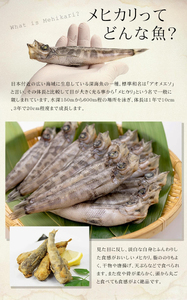 メヒカリ丸干し 900g(300g×3パック) | 脂のり抜群 白身魚 海鮮 干物 おつまみ 焼くだけ簡単 人気 福島県 いわき市 ふるさと納税 | DG029-900g