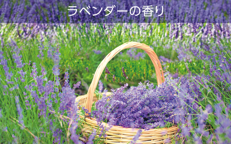 空気をかえよう エステー トイレの消臭力 ラベンダー 6個セット 消臭剤