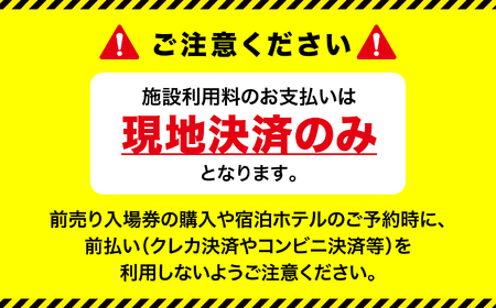 スパリゾートハワイアンズ　施設利用券20,000円分（5,000円分×4枚）プラン別利用券 グランピング向け | 利用チケット 入場券 宿泊代 ホテルハワイアンズ モノリスタワー ウイルポート フラダンス レジャー 観光 旅行 家族旅行 シルバーウィーク プール スパ 温水プール 福島県 いわき市 マウナヴィレッジ ゴルフコース | ZZ014