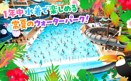 スパリゾートハワイアンズ　施設利用券250,000円分（5,000円分×50枚）プラン別利用券 家族で3泊4日向け | 利用チケット 入場券 宿泊代 ホテルハワイアンズ モノリスタワー ウイルポート フラダンス レジャー 観光 旅行 家族旅行 シルバーウィーク プール スパ 温水プール 福島県 いわき市 マウナヴィレッジ ゴルフコース | ZZ016