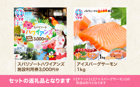 スパリゾートハワイアンズ 施設利用券3,000円分+アイスバーグサーモン(アトランティックサーモン) 約1kg(約200g×5袋) | 利用チケット 入場券 ホテルハワイアンズ モノリスタワー ウイルポート フラダンス プール スパ 福島県 いわき市 マウナヴィレッジ ゴルフコース アイスバーグサーモン アトランティックサーモン 冷凍 サーモン 切り身 | ZZ022