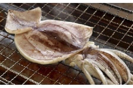 257 いわき ら ら ミュウ推奨 常磐もの干物詰め合せ 福島県いわき市 ふるさと納税サイト ふるなび