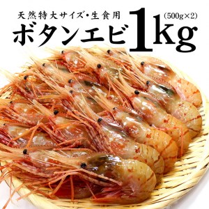 515 超特大ボタンエビ1kg お刺身OK!獲れたて急速冷凍