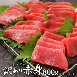 843 本マグロ訳あり赤身800g 解凍レシピ付 本マグロの赤身食べ放題!