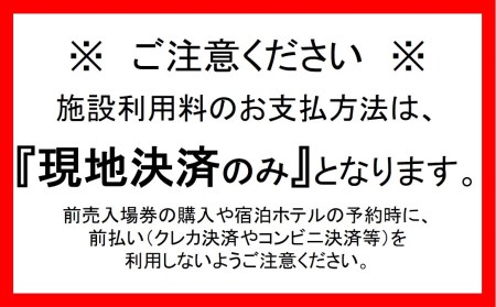 846 スパリゾートハワイアンズ 施設利用券30,000円分（3,000円分×10枚