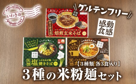 862 【グルテンフリー】3種の米粉麺セット(いわき米粉麺カレーうどん・いわきねぎ麺塩焼きそば・焙煎玄米そば 3食入×各1箱)
