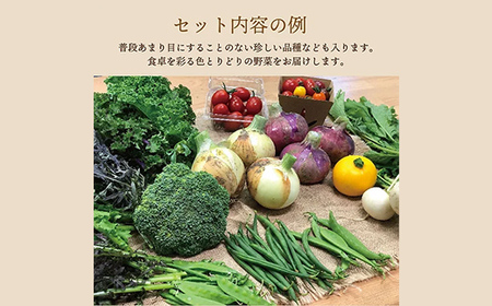 《有機JAS認証》 オーガニック 季節のお野菜が届く定期便(小) 年5回配送 F23R-940