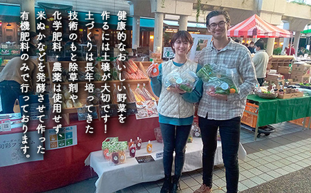 《有機JAS認証》 オーガニック 季節のお野菜が届く定期便(小) 年5回配送 F23R-940