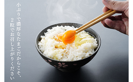 名古屋コーチンの卵 36個 卵 生卵 名古屋コーチン 桜吹雪 新鮮 石井養鶏場 F23R-878