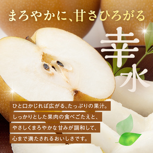 <2026年秋出荷>一番人気の梨 幸水 2玉 F24R-125