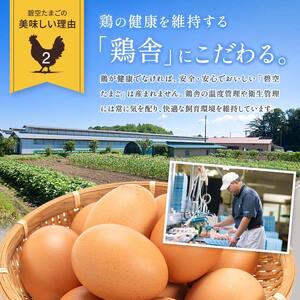 ビタミンＥ豊富な「碧空たまご」50玉 Lサイズ タマゴ 卵 玉子 たまご F25R-024