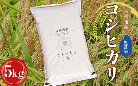 【無洗米】白河市産 コシヒカリ 5kg 米 コメ ごはん ご飯 食品  F24R-081